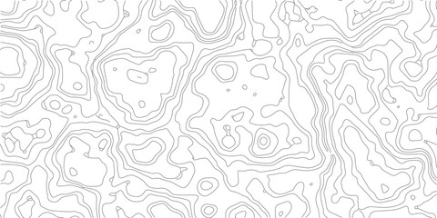 Topography background. Vector banner. Topography map background. Vector geographic contour map. Background of the topographic map. Topographic map lines, contour background.	