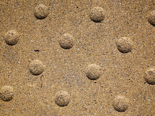 Exploring a Textured Surface featuring Raised Dots set in a Sandy Outdoor Environment