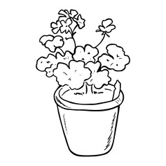 House flower in a pot, illustration in line art style, doodle.