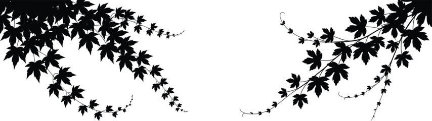 Hanging Ivy Leaves Border Silhouette Design.