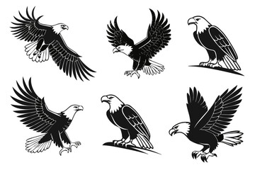 Obraz premium Realistic bald eagle icons set minimalist design