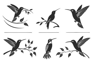Fototapeta premium Realistic hummingbird icon set for design projects