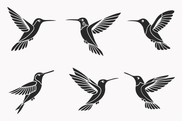 Fototapeta premium Realistic hummingbird icon set for design projects