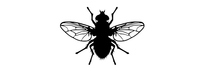 a black silhouette of a fly on a transparent backgroundblack, bug, insect, profile, wing 