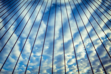 Morning from the balcony 