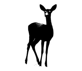 a black and white silhouette of a deer standing on all foursanimal, antler, black, deer, fawn, photo, profile, roe deer, stand, white 