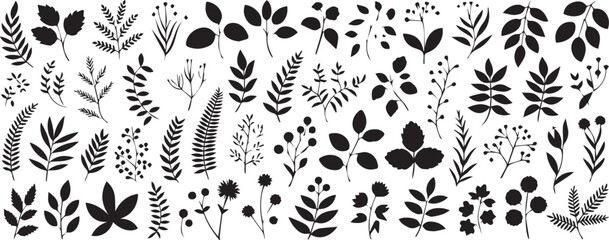 Botanical Black Silhouettes on White Background