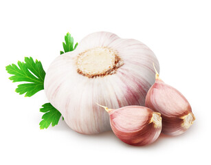Head of dried garlic and two segments with parsley leaves isolated on white background