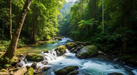 Obraz premium Lush Jungle River with Tranquil Flow.