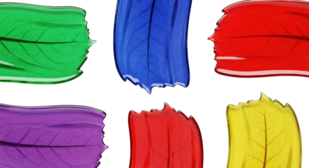 Colorful Transparent Leaf Shapes on White Background.