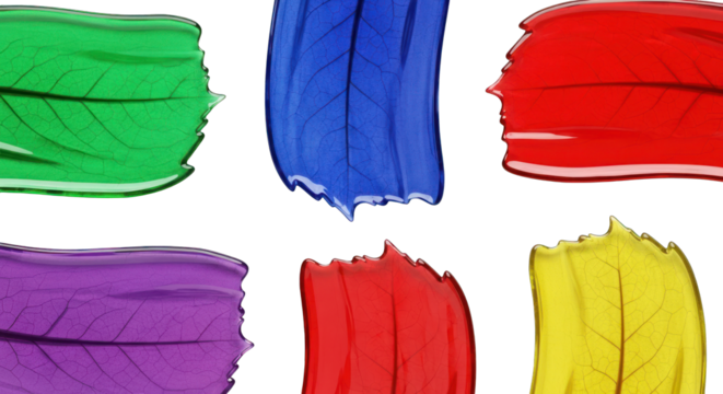 Colorful Transparent Leaf Shapes on White Background.