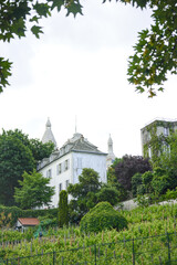 Fototapete bei efototapeten.de bestellen   