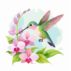 Obraz premium Kolibri auf Orchideenblüte