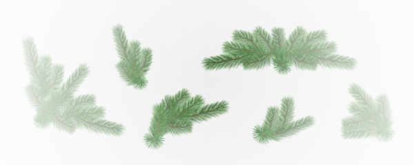 Garland of spruce branches. Christmas holiday decorations, realistic live fir tree effect with decorations for poster banners, png vector.