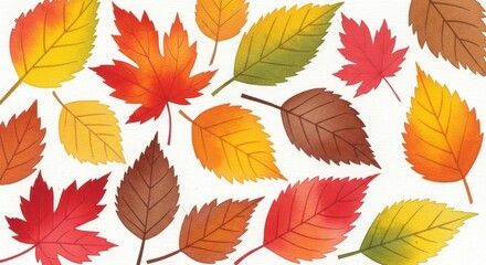 Obraz premium Colorful autumn leaves scattered on white sheet