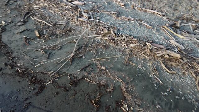 Sunset Beach Play