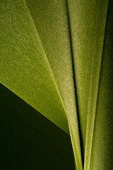 Abstract background made of crepe paper in shades of green