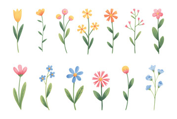 Minimal watercolor floral collection of blooming garden stems. Spring blossoms illustration in watercolor brushwork.