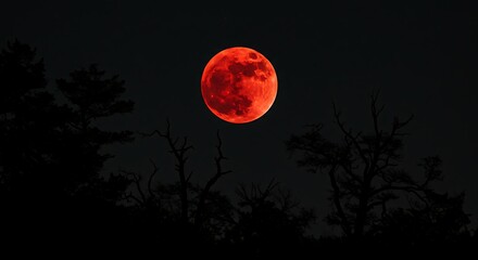Blood moon over dark silhouetted trees at night eclipse
