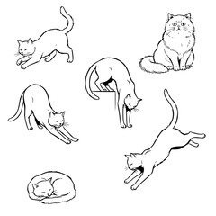 Set of cat vector outline simple