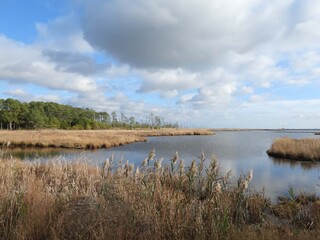 The scenic beauty of the wetlands, within the Blackwater National Wildlife Refuge, during the autumn season, Dorchester County, Maryland.