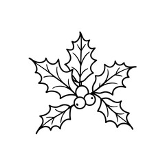 Holly leaves and berries sketch on transparent background