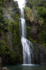 Kitekite Falls in the Rainforest of Piha, New Zealand