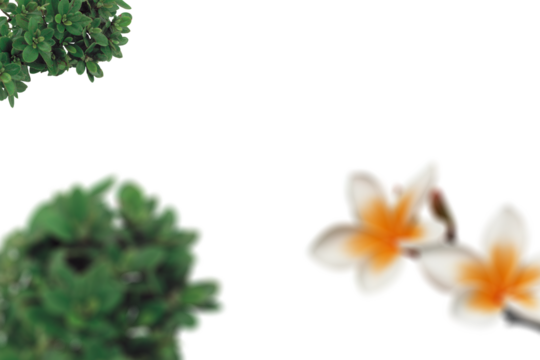 Green foliage and white-yellow flowers blurred on white background, minimalistic floral template, nature-inspired design, fresh botanical elements, springtime, modern natural style

