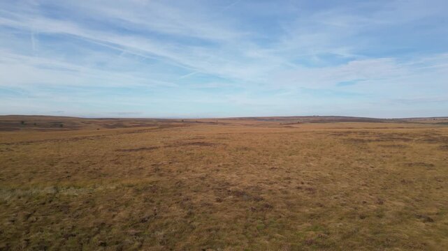 England, Peak District - Burbage Valley Plantation