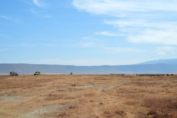 Africa, Tanzania, Ngorongoro, safari
