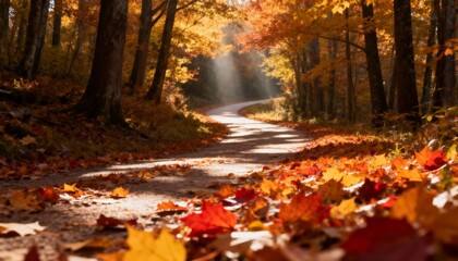Fototapeta premium Pathway covered with fallen autumn leaves in forest, warm sunlight filtering through trees, scenic fall landscape