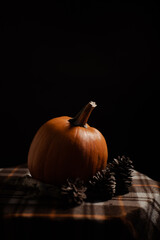 pumpkin on a black background