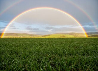 Naklejka premium Double rainbow over lush meadow after storm, vivid colors and tranquil landscape