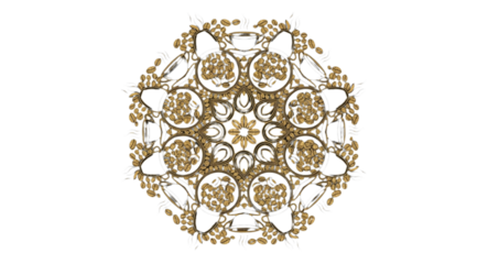 Golden mandala pattern with coffee beans and cups on black background coffee cups