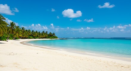 Fototapeta premium Idyllic White Sandy Beach Scene A Tropical Paradise with Turquoise Waters and Palm Trees