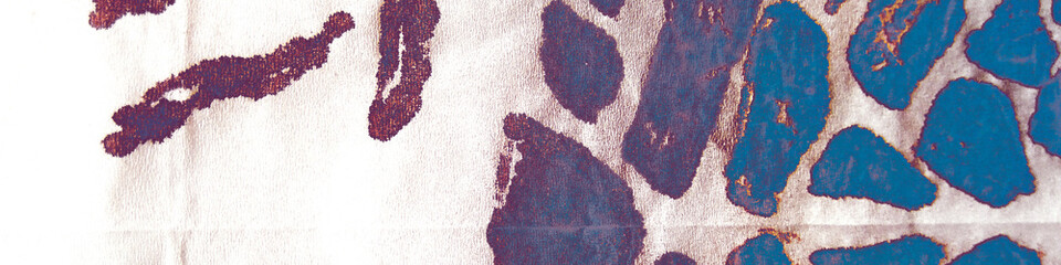 Rainbow Patterns Animales. Animal Print Rug.