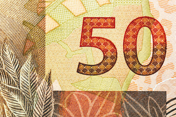 Brazilian 50 reais banknote 2010 .Laureate effigy of the symbolic sculpture of the Brazilian Republic.Back with image of a On&ccedil;a pintada.Bonistics.Fragment banknote for design purpose.