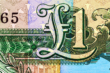 Guernsey 1 Pound 1991 Banknotes. Daniel De Lisle Brock, Channel Island bailiff.Seal of The States of Guernsey; The Market (French Halles).Bonistics.Fragment banknote for design purpose.