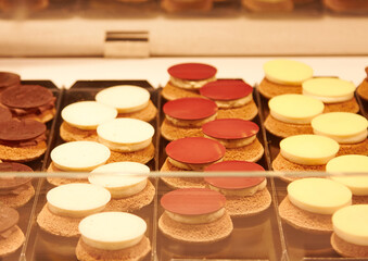 Assorted dessert treats displayed in a bakery showcase, featuring round chocolate and cream toppings on biscuit bases, showcasing a variety of flavors and textures for dessert lovers