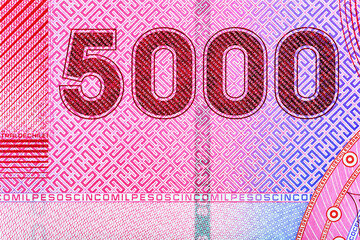 Chilean 5000 peso 2021.Gabriela Mistral Portrait from Chile.On the back side is an owl in La Campana National Park.Bonistics.World money collection.