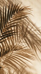 Obraz premium Stylish neutral palm leaves and shadows creating a warm tropical vibe