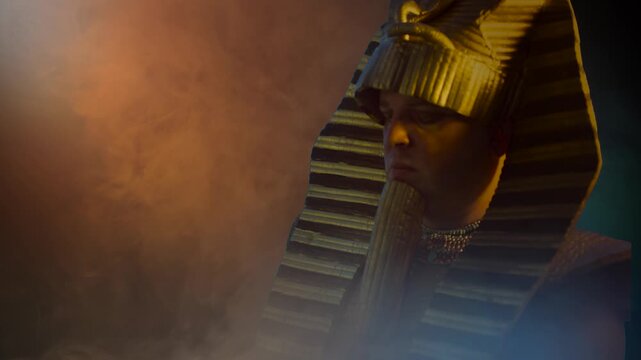 Pharaoh of Egypt The man in the suit Ancient Egyptian pharaoh Tutankhamun Ramses