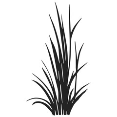 Elegant natural silhouettes of meadow plants and foliage.