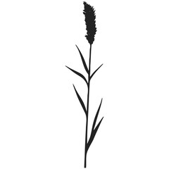 Elegant natural silhouettes of meadow plants and foliage.