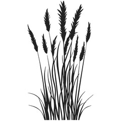 Elegant natural silhouettes of meadow plants and foliage.