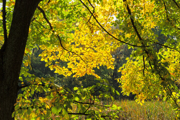Landscape of South Park in city of Sofia, Bulgaria