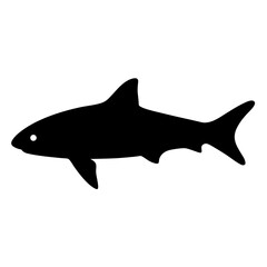 Black silhouette of a shark with one visible eye on white background