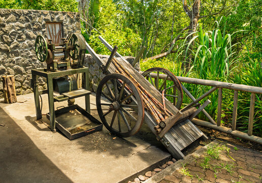 Antique sugarcane crushing machine and a wooden cart loaded with fresh cane stalks in a tropical outdoor setting