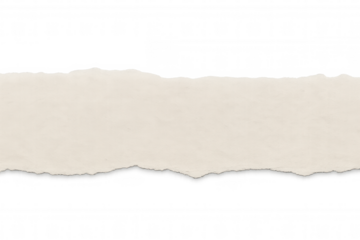 Torn paper strip creating a textured horizontal border. The image features a transparent background, offering versatility