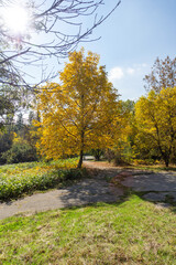 Landscape of South Park in city of Sofia, Bulgaria